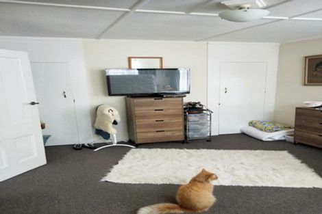 Photo of property in 18b Mckenzie Street, Levin, 5510