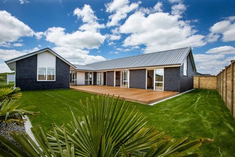 Photo of property in 24 Buxton Crescent, Matamata, 3400
