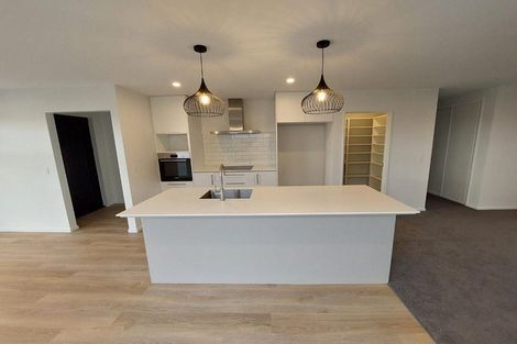 Photo of property in 22 Privet Way, Rolleston, 7678