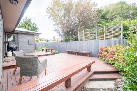 Photo of property in 41a Manawatu Street, Hokowhitu, Palmerston North, 4410