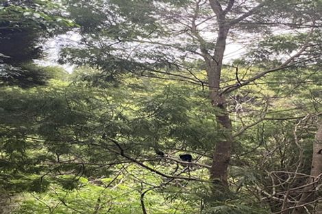 Photo of property in 341 Upper Harbour Drive, Greenhithe, Auckland, 0632