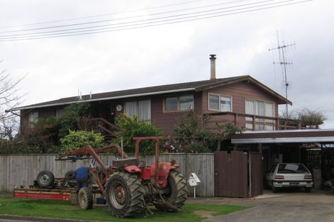 Photo of property in 16 William Street, Levin, 5510