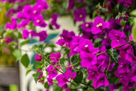 Photo of property in 381 Tara Road, Mangawhai, 0573