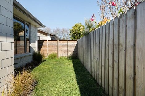 Photo of property in 50c Sixteenth Avenue, Tauranga South, Tauranga, 3112