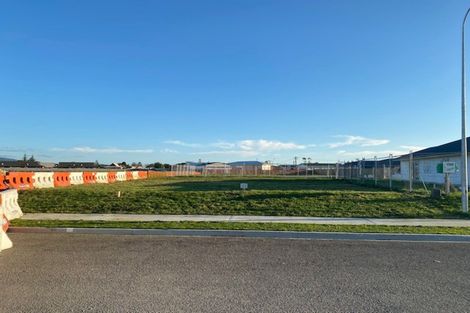 Photo of property in 55 Tainui Street, Levin, 5510