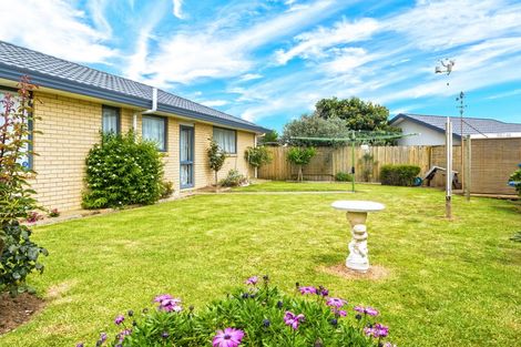 Photo of property in 21 Pitt Avenue, Clendon Park, Auckland, 2103