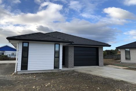 Photo of property in 76 Hinemoa Street, Levin, 5510