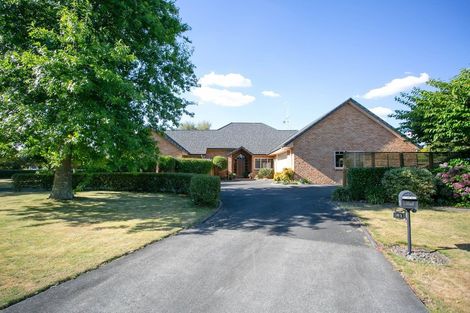 Photo of property in 61 Cowley Drive, Leamington, Cambridge, 3432