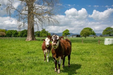 Photo of property in 95 Taihoa Road South, Matamata, 3473