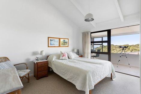 Photo of property in 445 Onemana Drive, Onemana, Whangamata, 3691