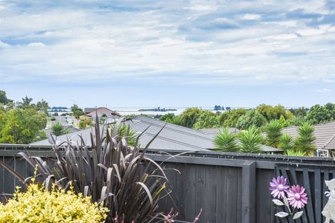 Photo of property in 80 Chelsea Avenue, Richmond, 7020