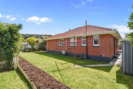 Photo of property in 18a Coughtrey Street, Saint Clair, Dunedin, 9012