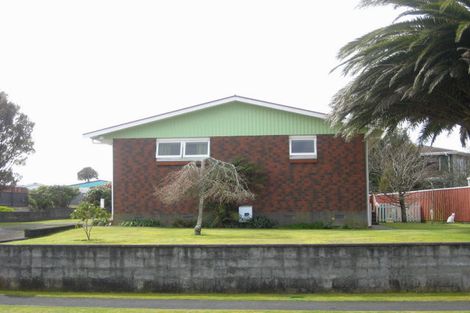 Photo of property in 10 Tybalt Street, Stratford, 4332