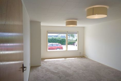 Photo of property in 59a Plymouth Street, Whanganui, 4500