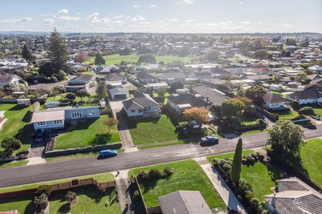Photo of property in 222 Te Tomo Street, Te Awamutu, 3800