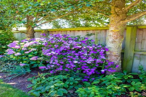 Photo of property in 52 Allison Crescent, Kaiapoi, 7630