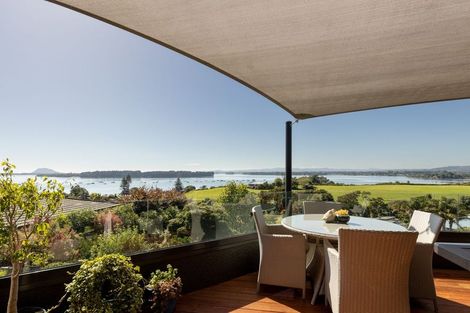 Photo of property in 17 Farnell Court, Omokoroa, 3114