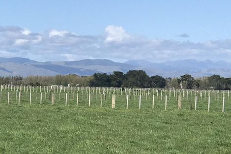 Photo of property in 30 Monrad Street, Highbury, Palmerston North, 4412