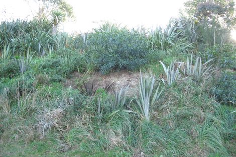 Photo of property in 61 Manapouri Street, Ravensbourne, Dunedin, 9022