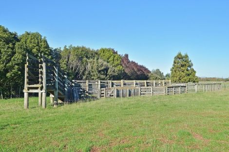 Photo of property in 103 Solway Crescent, Solway, Masterton, 5810