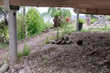 Photo of property in 525a Tuateawa Road, Tuateawa, Coromandel, 3583