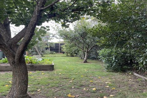 Photo of property in 25 Churchill Avenue, Richmond, 7020