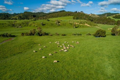 Photo of property in 127 Wilson Road, Hunua, Papakura, 2583