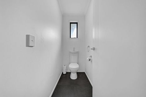 Photo of property in 54 Te Ara Aukati Terrace, Pokeno, 2471