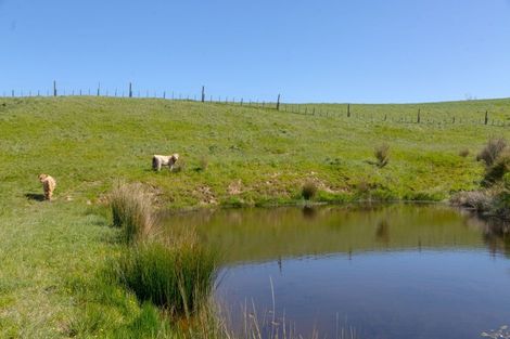 Photo of property in 91 Chester Park Drive, West Taratahi, Carterton, 5791