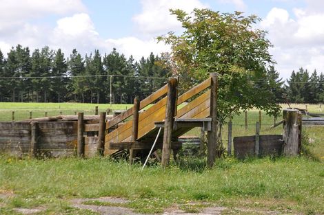 Photo of property in 1764 Kimbolton Road, Cheltenham, Feilding, 4777
