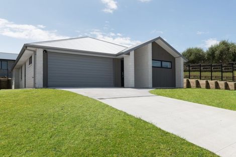 Photo of property in 28 Mulgan Street, Katikati, 3129