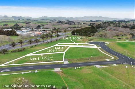 Photo of property in 1 Blueberry Lane, Waihi, 3682