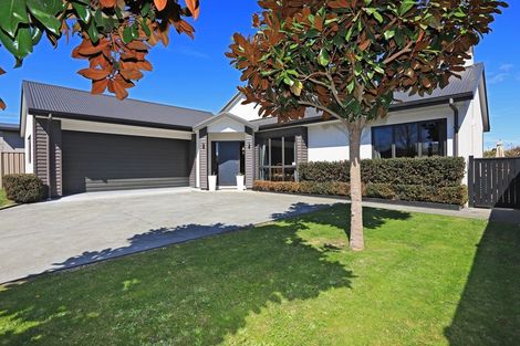 Photo of property in 602 Ikanui Road, Frimley, Hastings, 4120