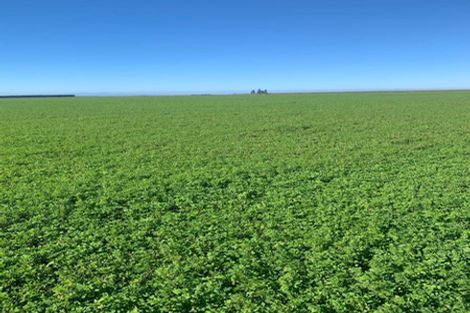 Photo of property in 784 Wrights Road, Oxford, 7495