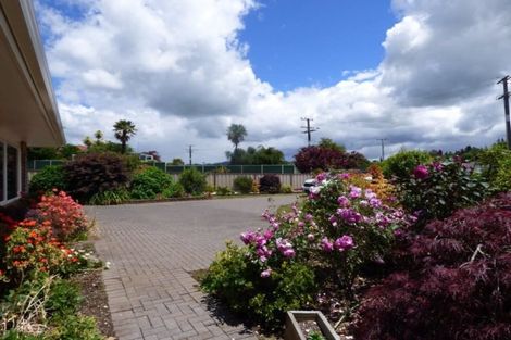 Photo of property in 38 Gradara Avenue, Otorohanga, 3900