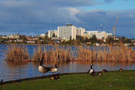 Photo of property in 5/75 Pembroke Street, Hamilton Lake, Hamilton, 3204