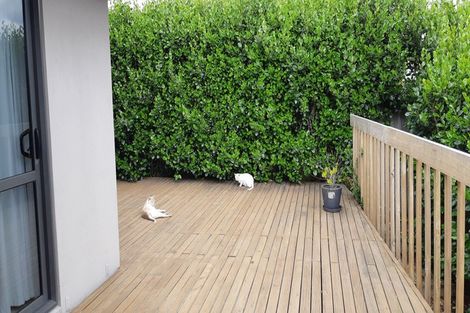 Photo of property in 24 Dayna Avenue, Ohauiti, Tauranga, 3112