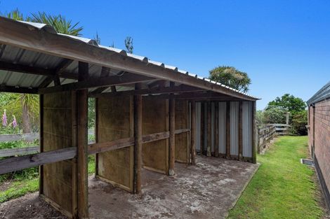 Photo of property in 468 White Pine Bush Road, White Pine Bush, Whakatane, 3192