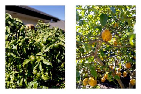 Photo of property in 3 Landward Close, Ohope, 3121