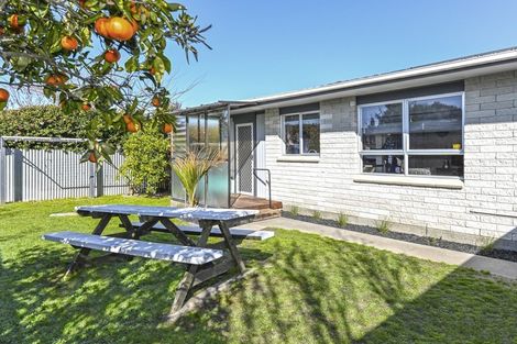 Photo of property in 3/505 Burnett Street, Mahora, Hastings, 4120