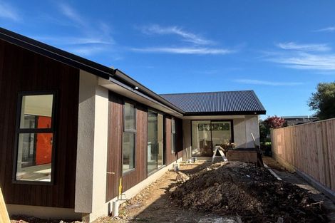 Photo of property in 86 Hill Street, Richmond, 7020