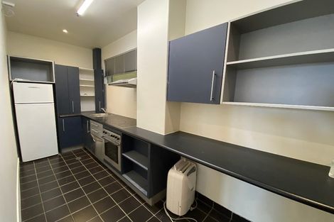 Photo of property in The Lofts, 7/185 Victoria Street, Te Aro, Wellington, 6011