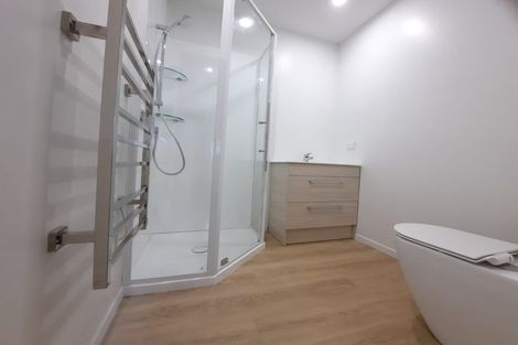 Photo of property in 5b Rosebank Road, Avondale, Auckland, 1026