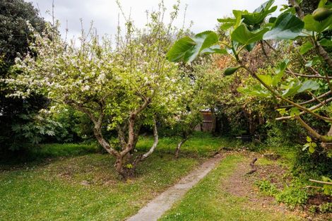 Photo of property in 6 Eton Place, Terrace End, Palmerston North, 4410