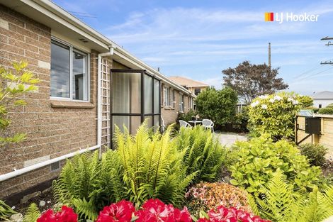 Photo of property in 172a Oxford Street, South Dunedin, Dunedin, 9012