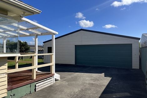 Photo of property in 55 Power Street, Levin, 5510