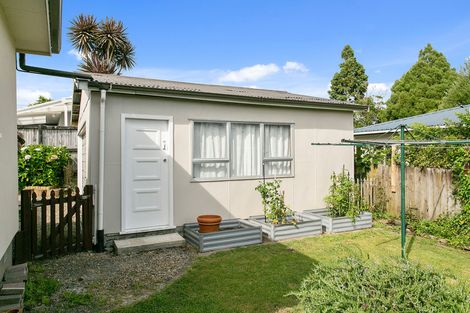 Photo of property in 17 Shelley Street, Leamington, Cambridge, 3432