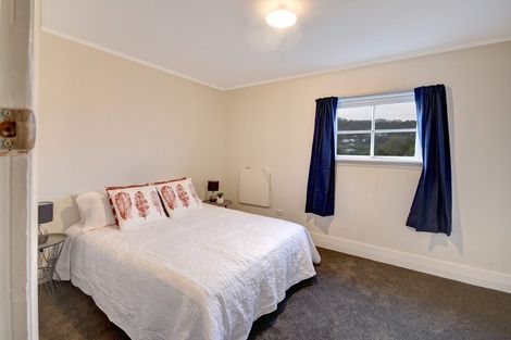 Photo of property in 17 Sidey Street, Calton Hill, Dunedin, 9012