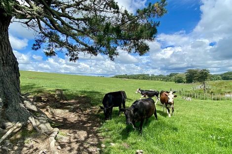 Photo of property in 21 Horseshoe Lane, Matarau, Kamo, 0185