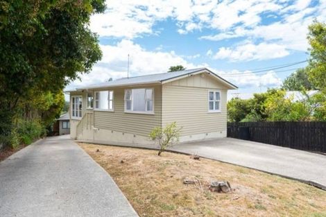 Photo of property in 18 Beverly Place, New Lynn, Auckland, 0600
